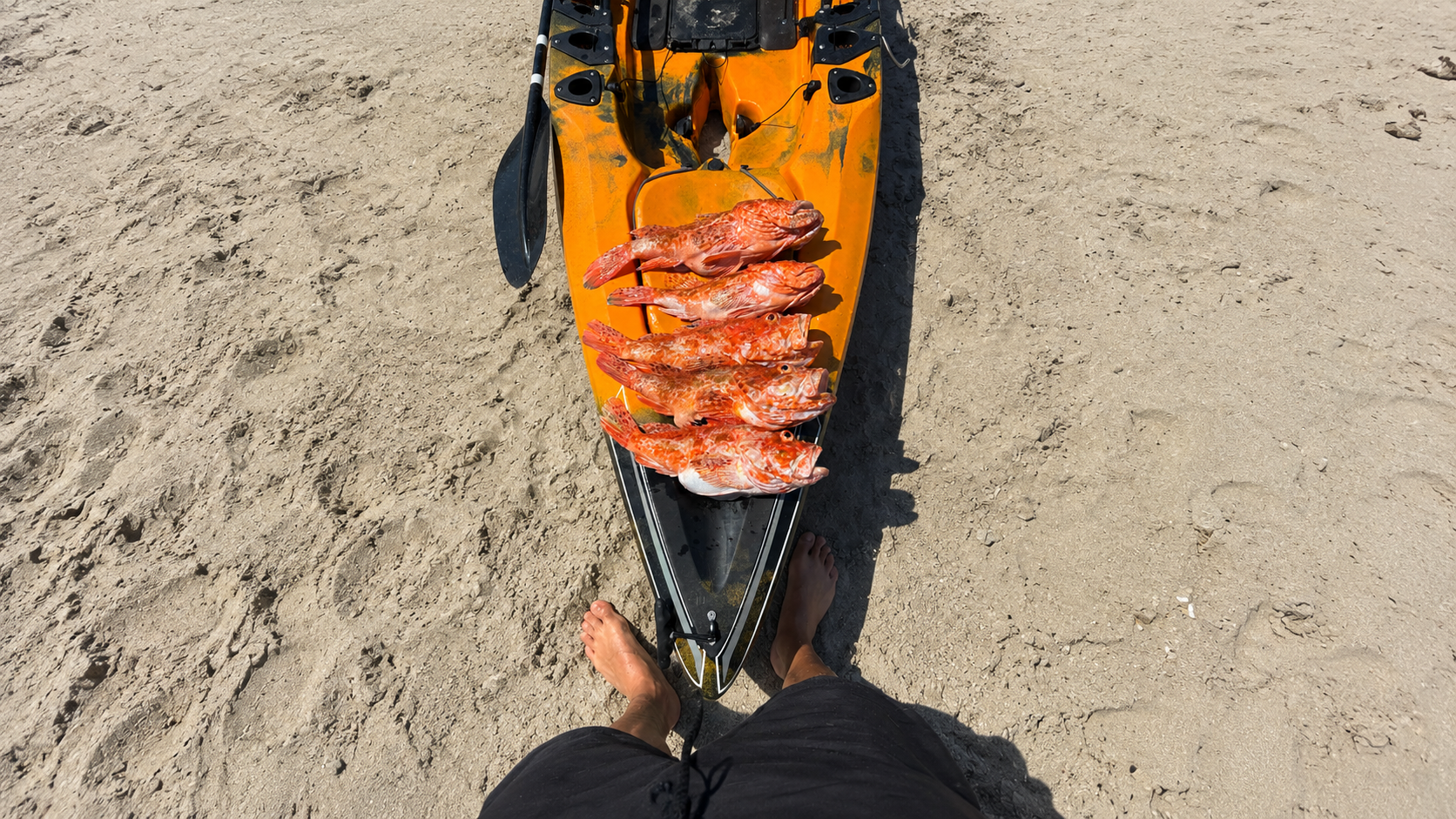 Pesca do Rascasso em Profundidade: Localização, Iscos e Waypoints Secretos