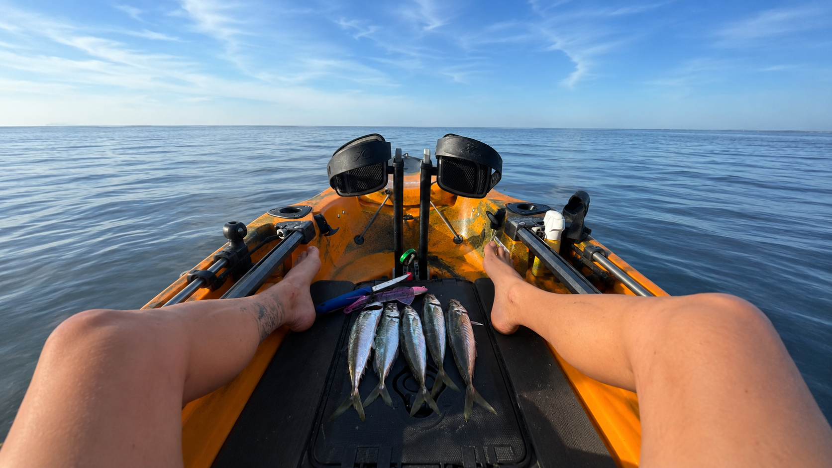 Pesca de carapaus vivos a partir de um caiaque para usar como isco