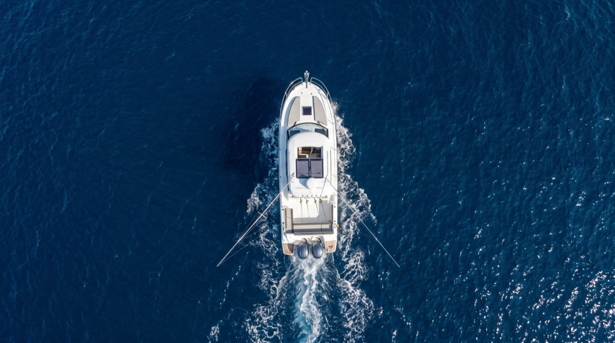 Capture de thon à bord du bateau